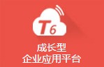 T6产品线